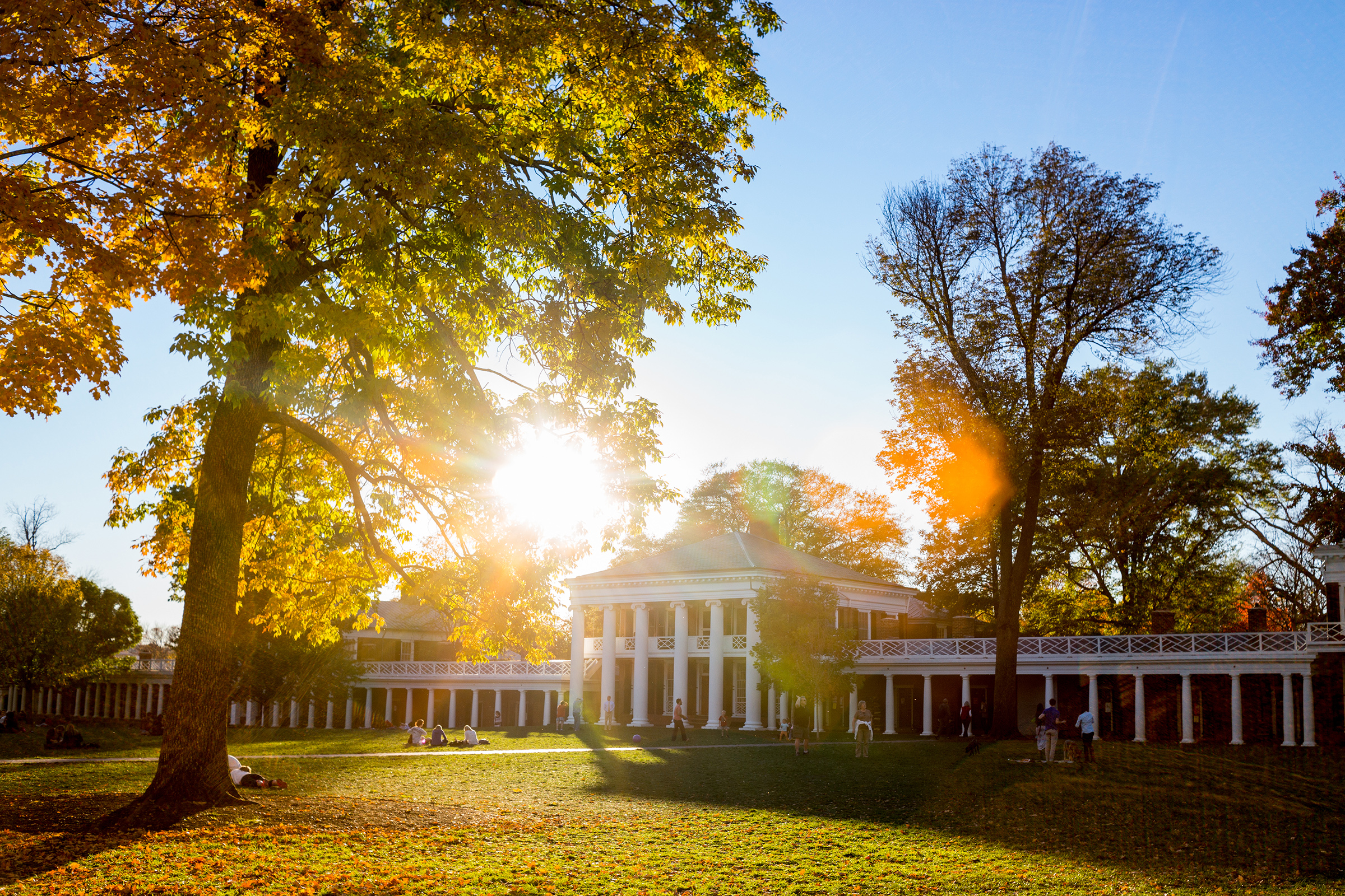 UVA Lawn